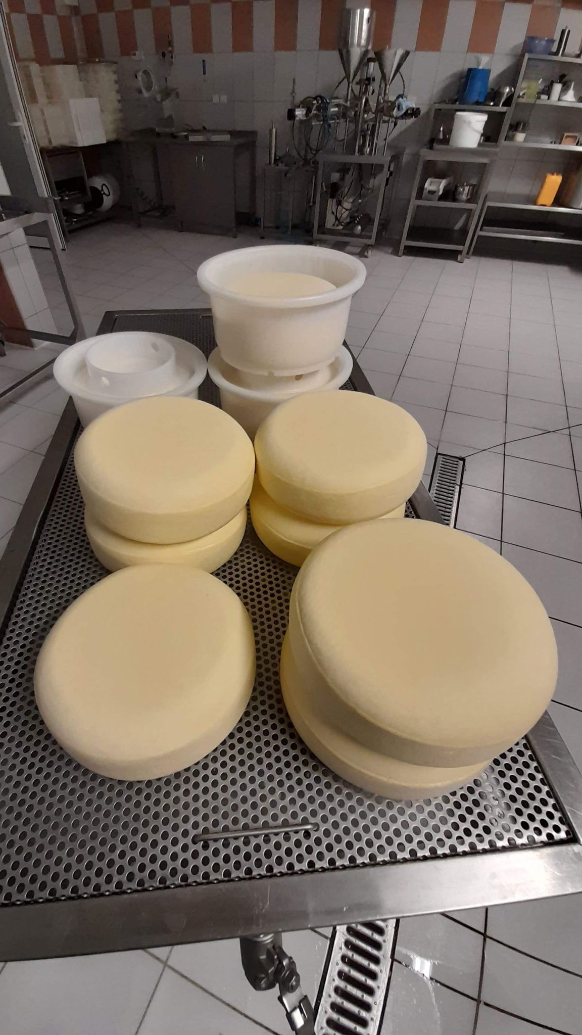 Dozrálý čerstvý sýr ve výrobně