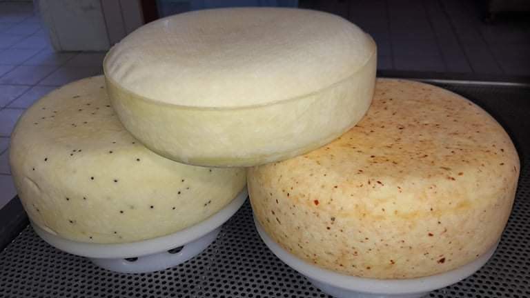 Různé druhy našeho dozrálého čerstvého sýru